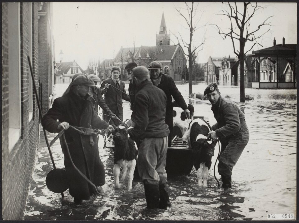 Runderen, OVERSTROMINGEN, dorpen, Bestanddeelnr 052-0548