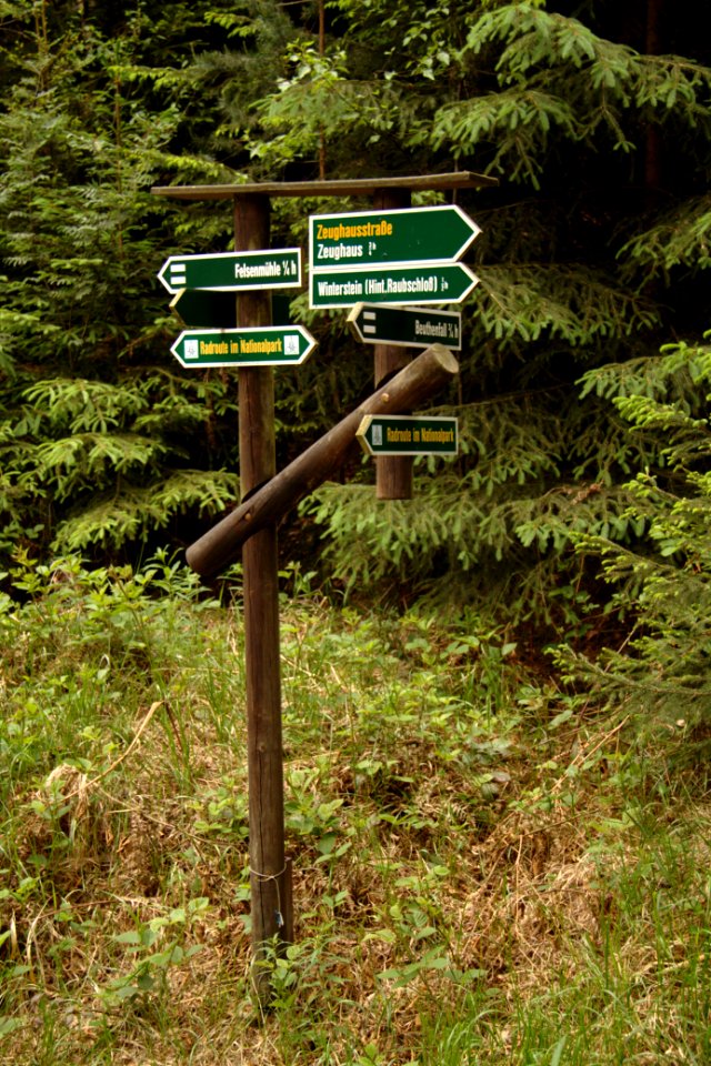 Sächsische Schweiz 2012-05-27-7472