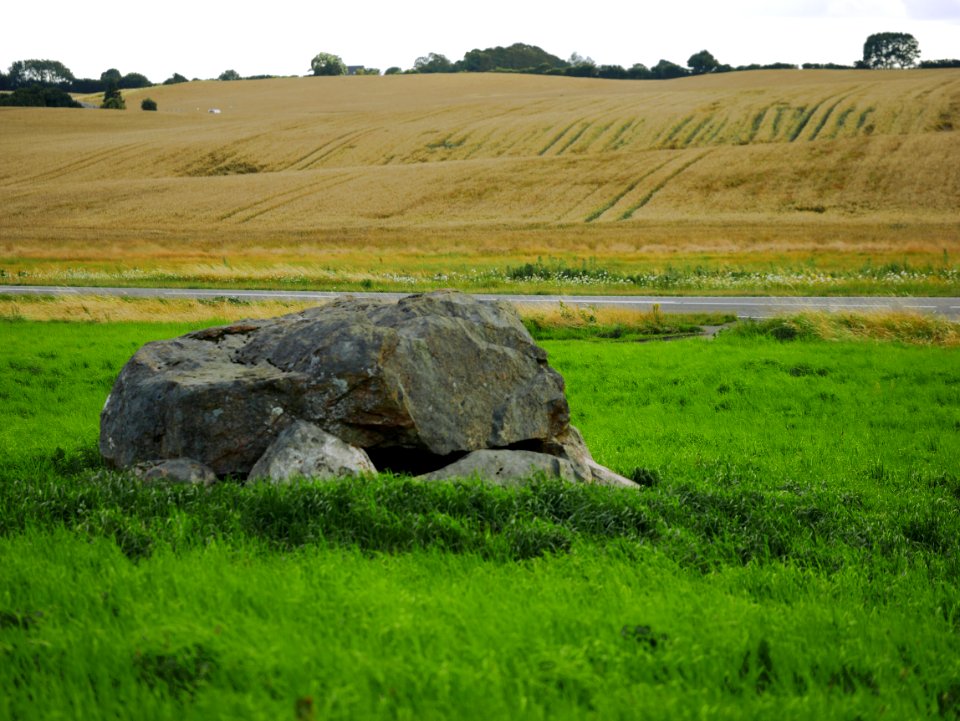 Runddysse Strårup H1a