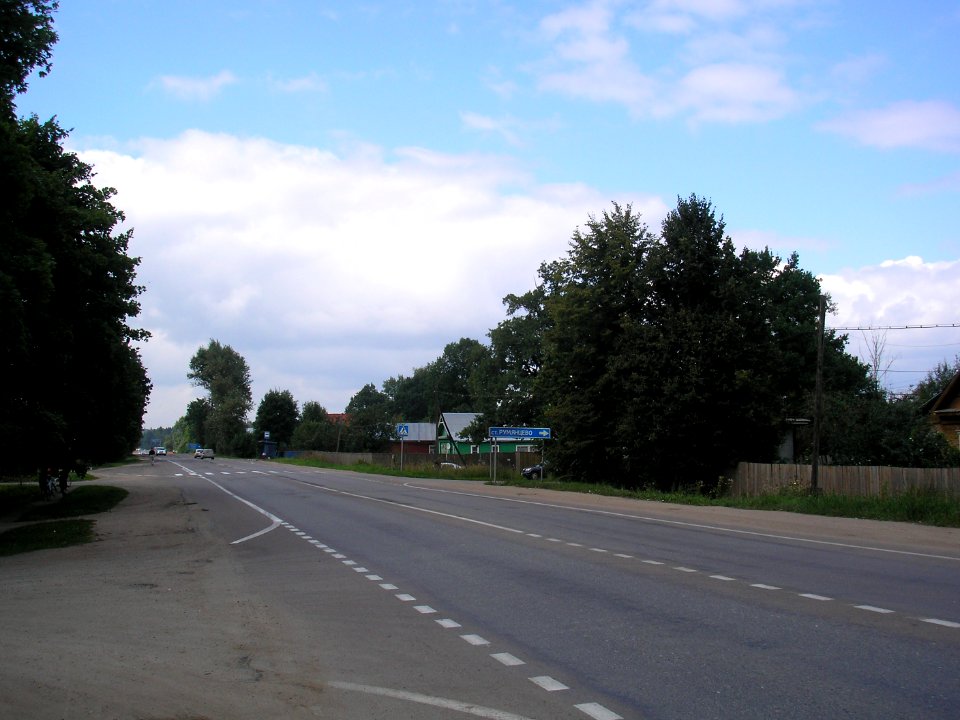 Rumyantsevo, Istra district 17