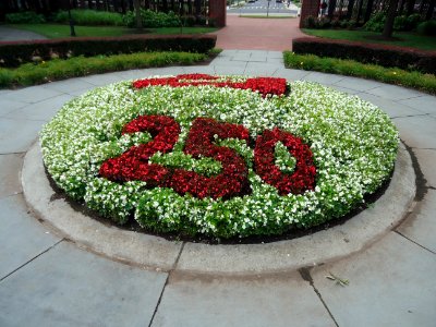 Rutgers University College Avenue campus July 2016 flowers spelling out 250 years