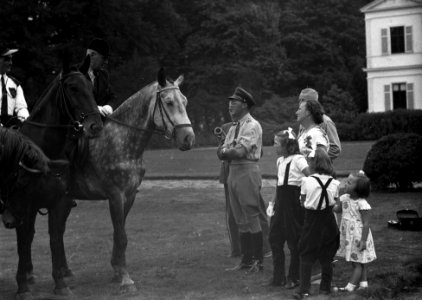 Ruiterfeest Prinsesjes te paard, Bestanddeelnr 902-3662