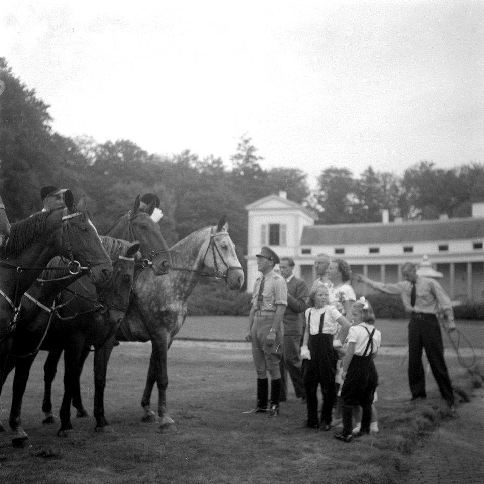 Ruiterfeest Prinsesjes te paard, Bestanddeelnr 902-3682