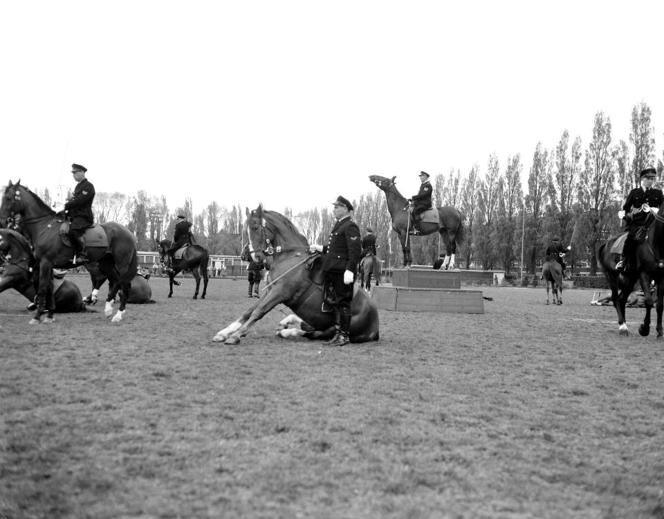 Ruiterfestijn met Amsterdamse politie op sintelbaan te Amsterdam voor Koninginnedag 1957, Bestanddeelnr 908-5417