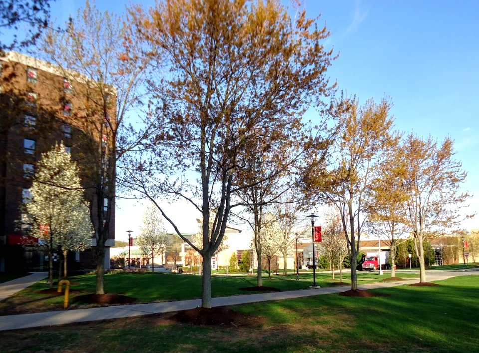 Rutgers campus scene Livingston campus