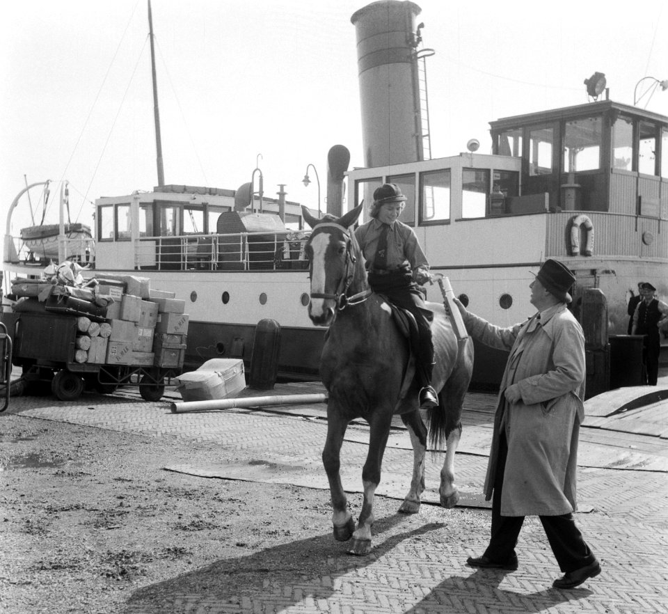 Ruiterestafette naar Soestdijk. Deelnemer in Den Helder. Overhandiging van de ko, Bestanddeelnr 904-5828