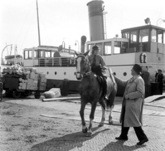 Ruiterestafette naar Soestdijk. Deelnemer in Den Helder. Overhandiging van de ko, Bestanddeelnr 904-5828