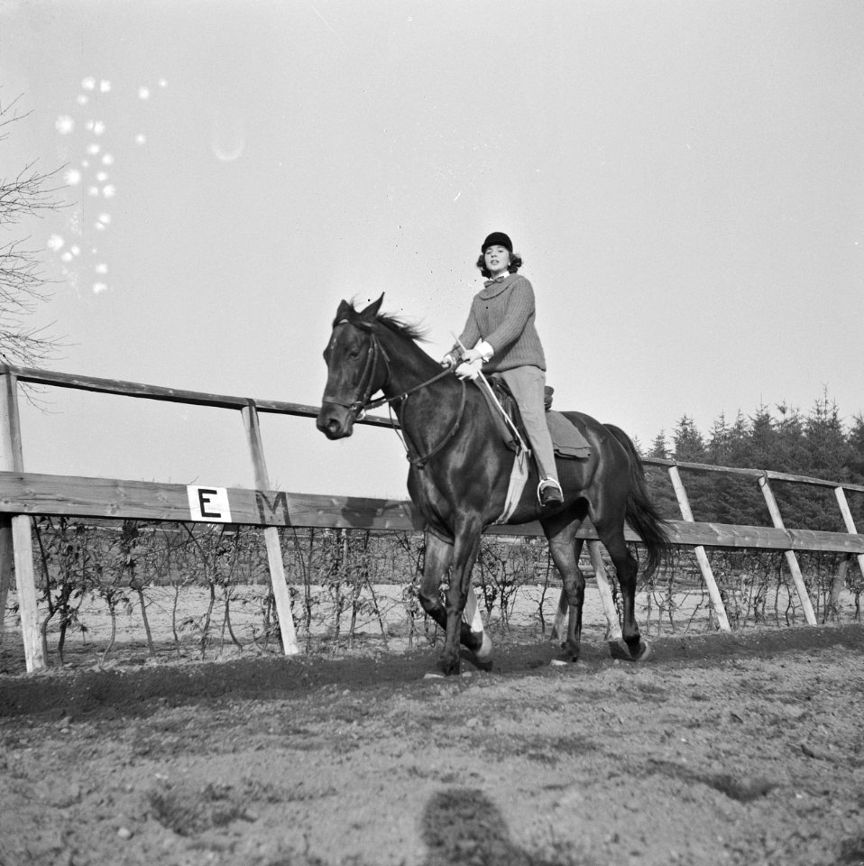 Ruitersportserie, Bestanddeelnr 912-1447