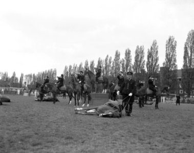 Ruiterfestijn met Amsterdamse politie op sintelbaan te Amsterdam voor Koninginnedag 1957, Bestanddeelnr 908-5418