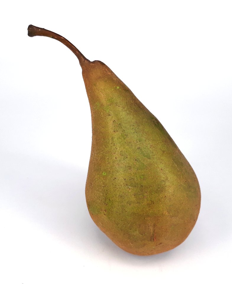 Russet conference pear 2017 A