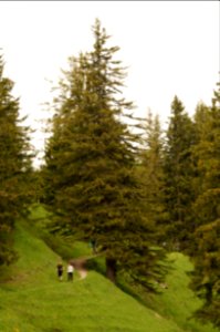 Sücka Wanderweg – WAF 300 J FL