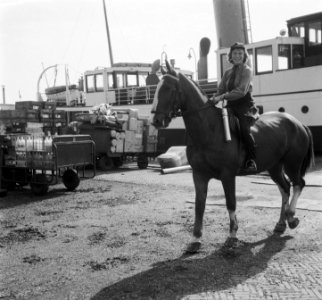 Ruiterestafette naar Soestdijk. Deelnemer in Den Helder. Houdt koker vast met oo, Bestanddeelnr 904-5829