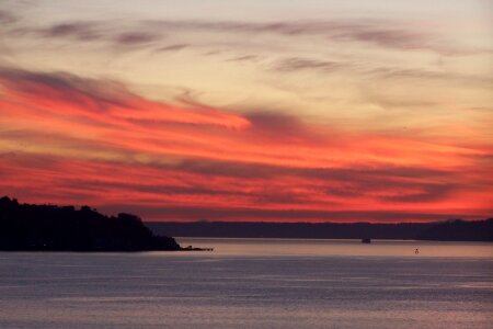 Silhouettes landscape seattle
