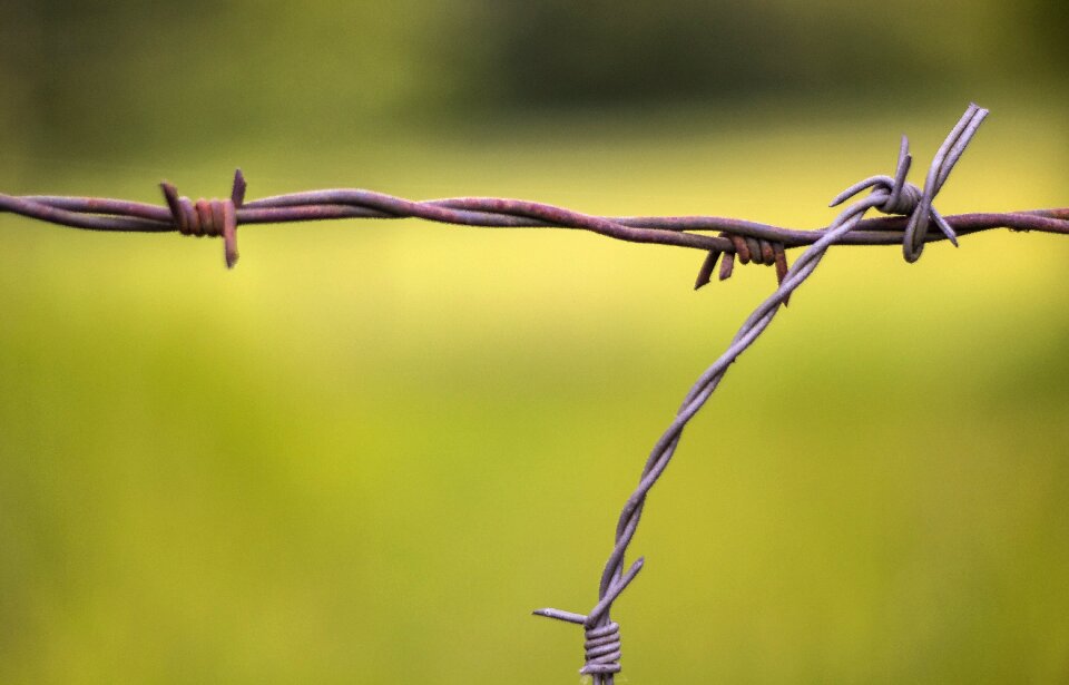 Metal risk demarcation