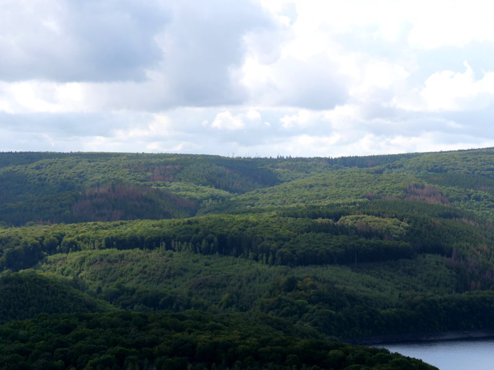 Rurtalsperre from Schöne Aussicht Schmidt 35