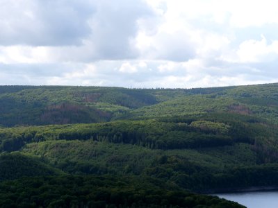 Rurtalsperre from Schöne Aussicht Schmidt 35