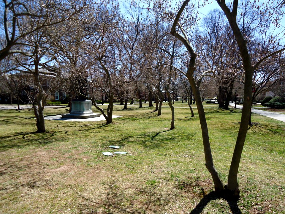 Rutgers University park early April College campus