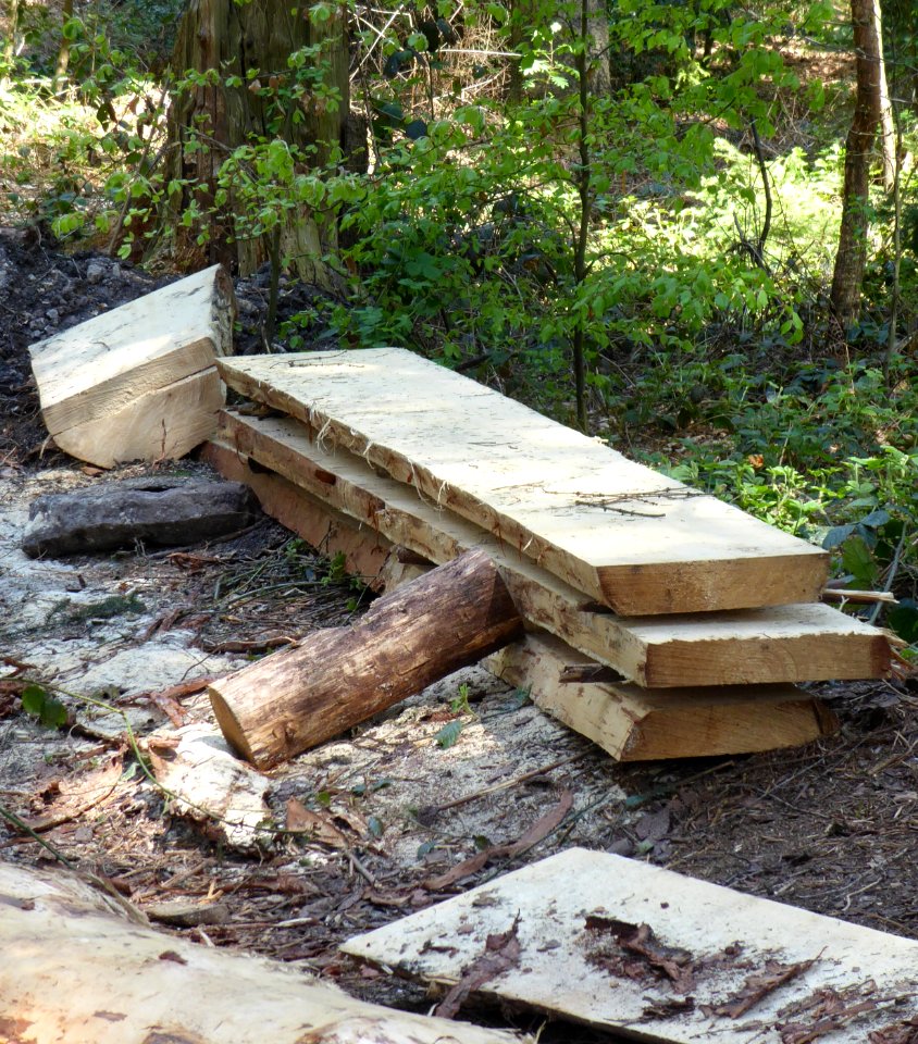 Sägerau (Bretter im Wald)