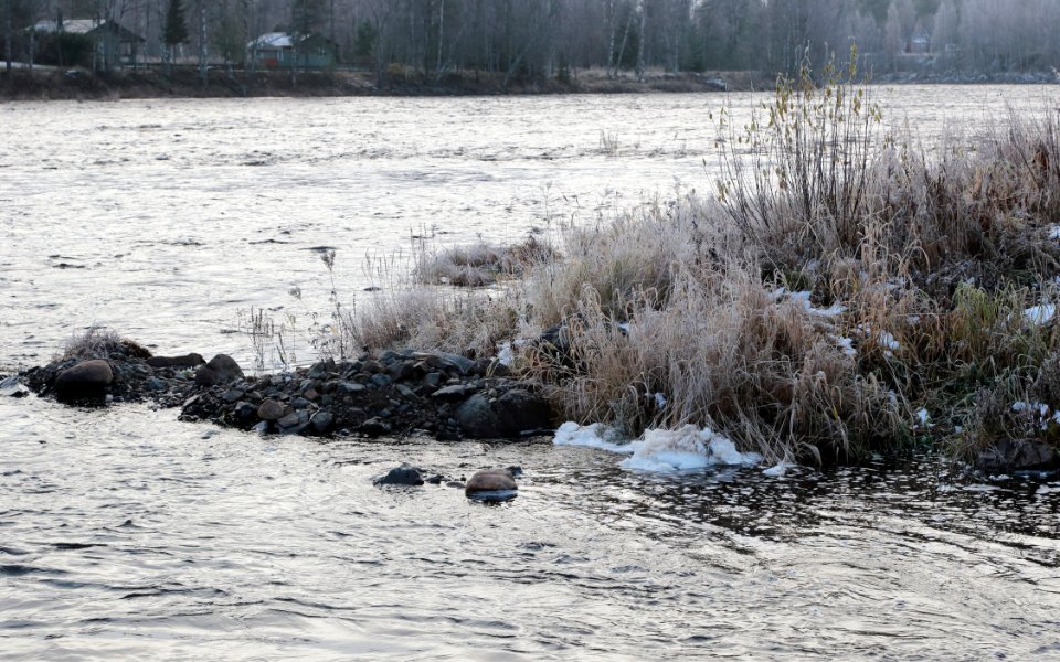 Sämppikoski Kiiminkijoki Oulu 20201025 01