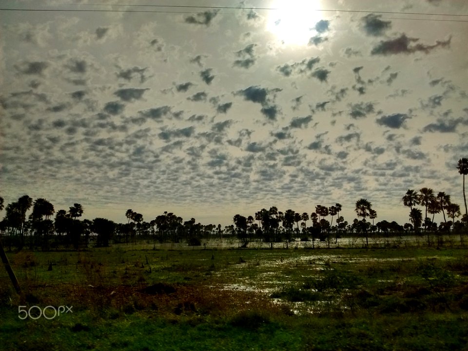 Ruta 5 Corrientes Argentina (220523721)