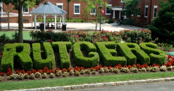 Rutgers University College Avenue campus hedge spelling out Rutgers in green (cropped) photo