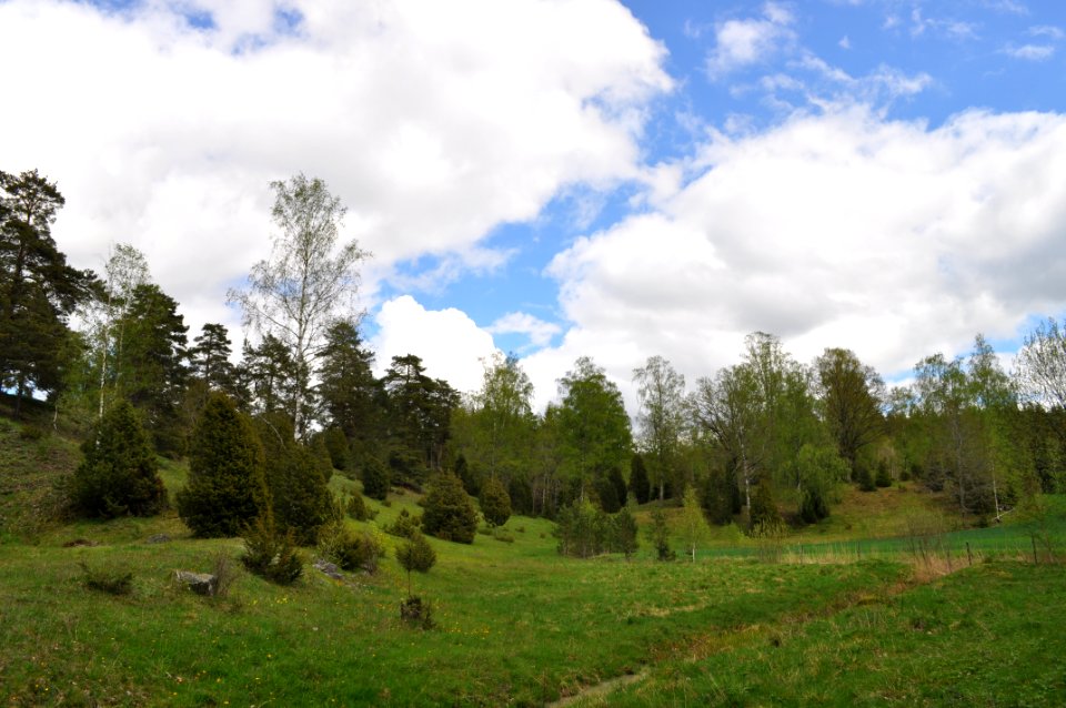 Södra Himlingeåsen