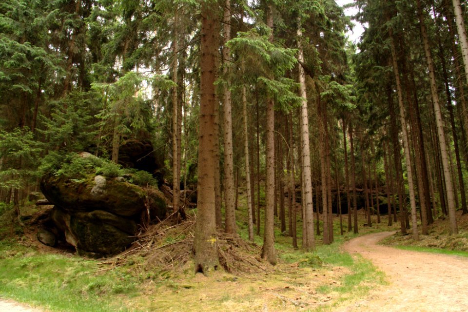 Sächsische Schweiz 2012-05-27-7470