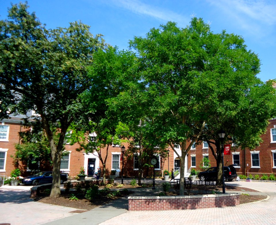 Rutgers University College Avenue campus with trees and dormitories