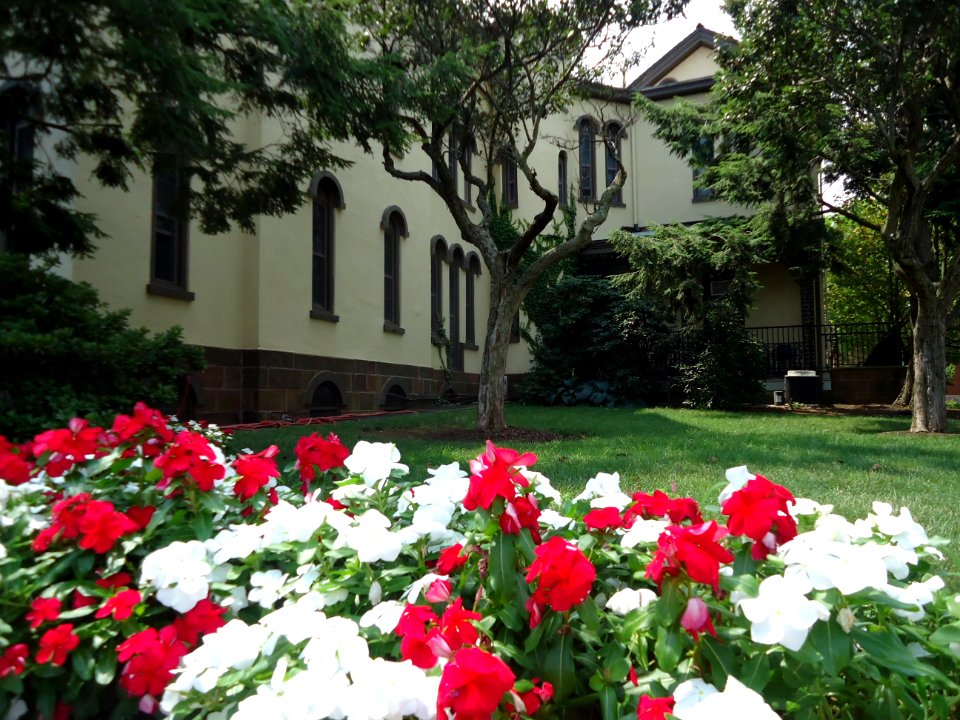 Rutgers University College Avenue campus flowers red and white