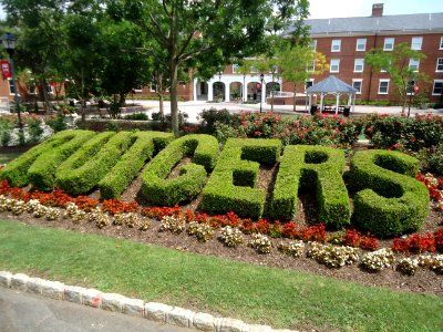Rutgers University hedge with letters spelling R U T G E R S