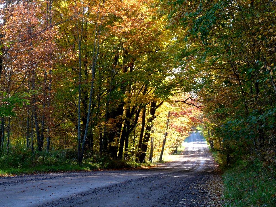 Rustic Road Number 1