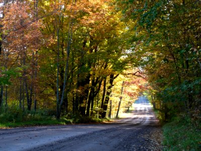 Rustic Road Number 1