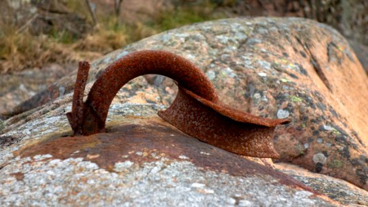 Rusty mooring ring in Sandvik photo