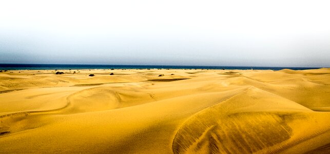 Sea sand dune photo