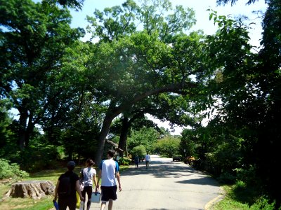 Rutgers Gardens in New Brunswick New Jersey visitors on a walkway Image Number 27
