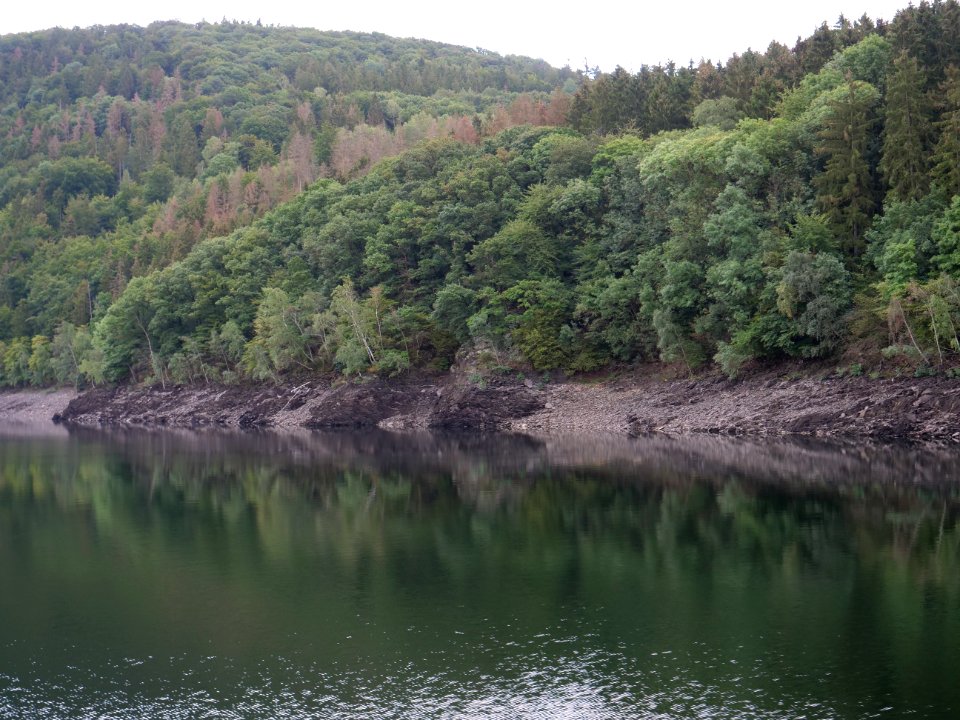 Rurtalsperre in September 2019 38