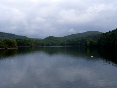 Rurtalsperre Obersee near Paulushofdamm in September 2019 04