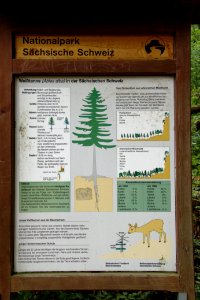 Sächsische Schweiz 2012-05-27-7479