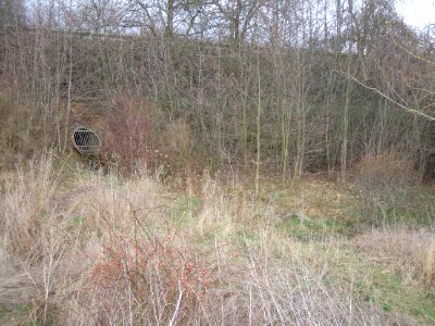 Säckelgraben Auslass B 3 Nieder-Mörlen, 2