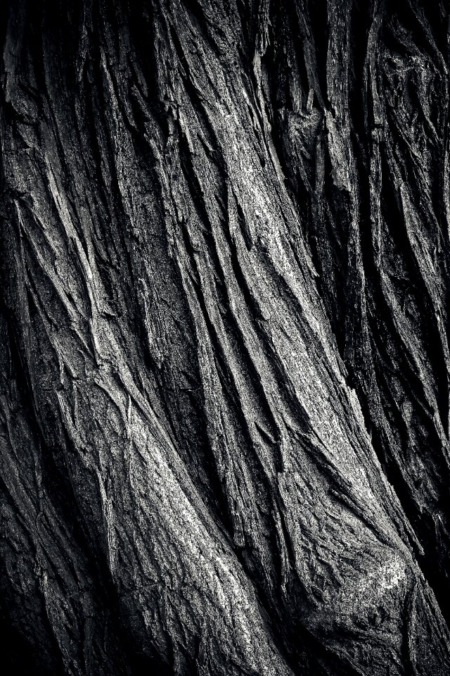 Nature tribe wood