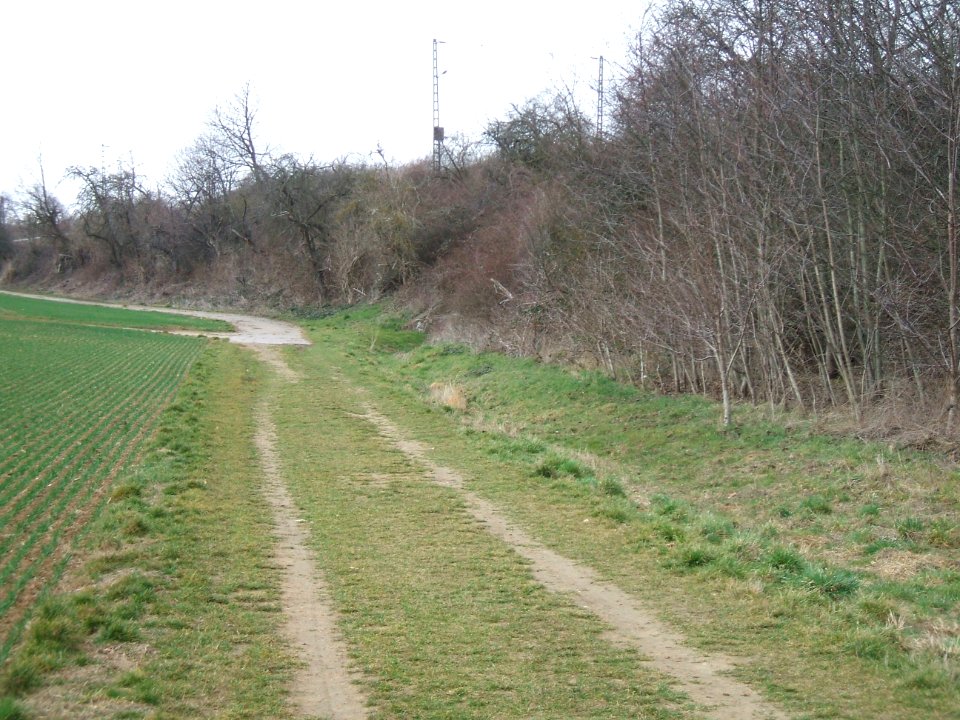 Säckelgraben zum Durchlass Bahn