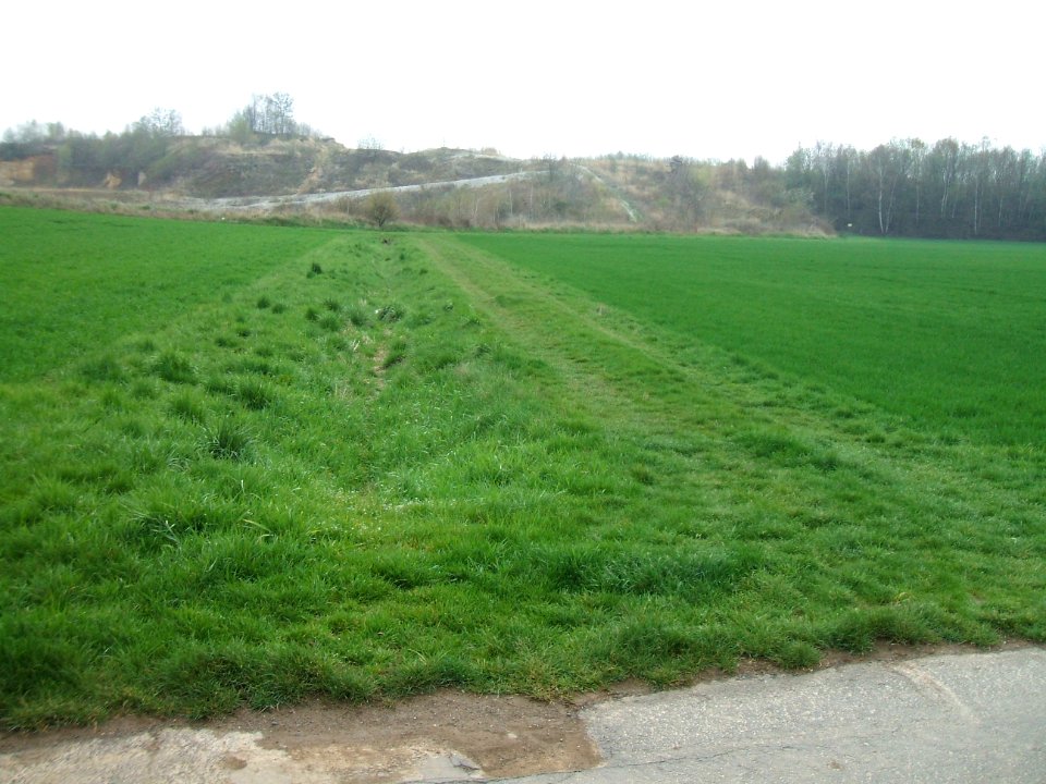 Säckelgraben unterhalb Weg Steinfurth