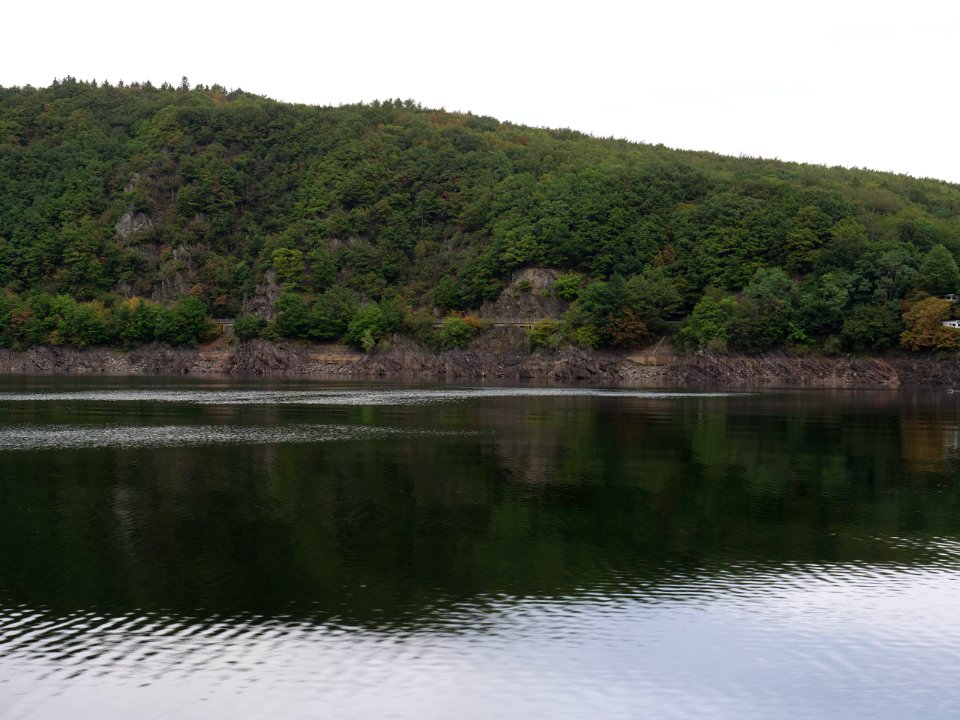 Rurtalsperre in September 2019 40