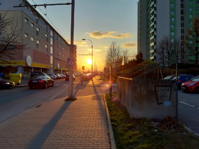 Sídliště Brno-Vinohrady v době pandemie 174016