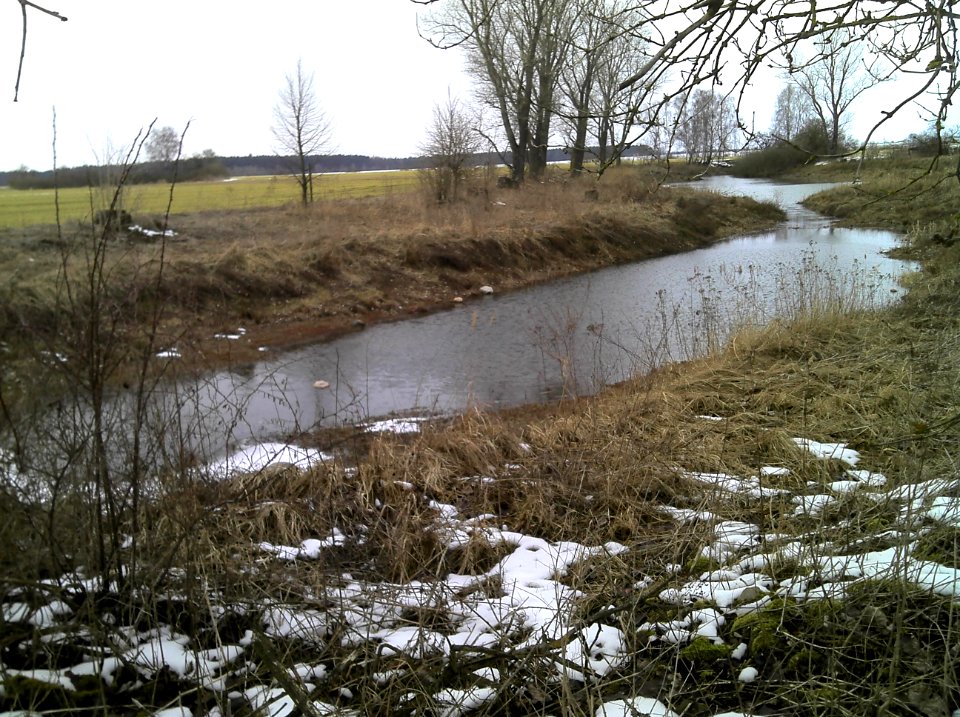 Söll im Schutzgebiet 'Klebitz-Rahnsdorfer Feldsölle' Ende März 2013c