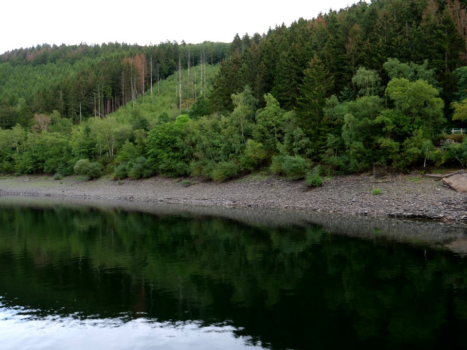 Rurtalsperre in September 2019 18