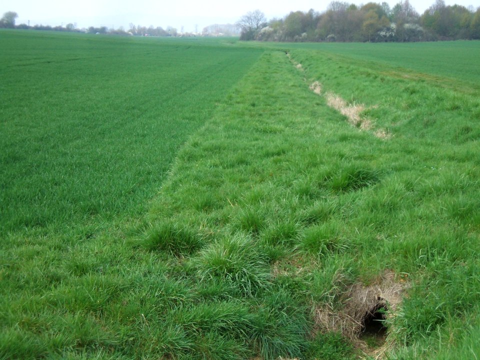 Säckelgraben westlich Weg Steinfurth