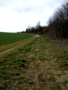 Säckelgraben Blick nordwärts Bahn mit ICE T