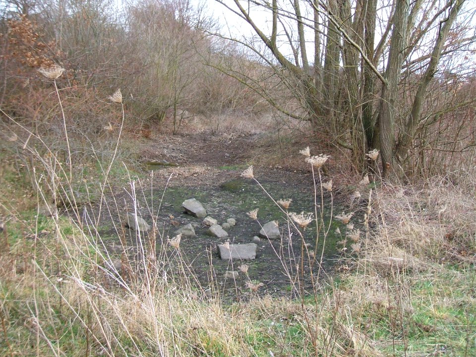 Säckelgraben Auslass B 3 Nieder-Mörlen Tosbecken