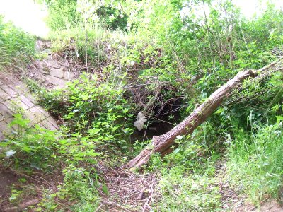 Säckelgraben vor Durchlass A 5